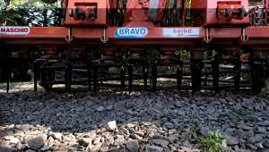 BRONA MASCHIO_2014_13000